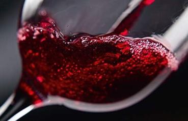 CASO WineExclusive 24 Smart
